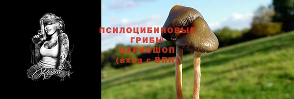 мет Корсаков