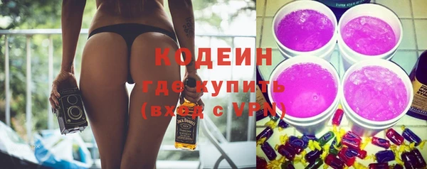 мет Корсаков
