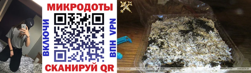 купить наркотики сайты  Кирсанов  Галлюциногенные грибы Magic Shrooms 